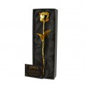 Auksinė rožė 24k aukso spalvos plokštelės (panardintos) -puiki dovana moteriai
