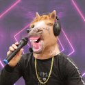 Karaoke kôň - silikónová maska na tvár pre deti aj dospelých