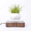 Floating plant pot - levitating 360° flowerpot on a magnetic wooden base