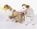Quack - Muncung pelindung itik untuk anjing