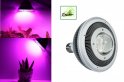 LED Grow ampoule pour les plantes 40W