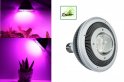 LED grow light na rastliny 40W