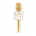 Micro et haut-parleur Bluetooth 5W - microphone sans fil pour la fête