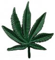 Fibbia della cintura - Marijuana