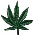 Khóa thắt lưng - Marihuana