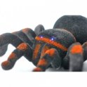 Spider-tarantula kaukosäätimellä