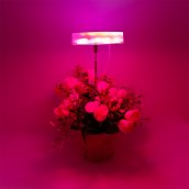 Eclairage pour plantes - LED pour culture de plantes - Eclairage de tête RVB 9W télescopique + Minuterie