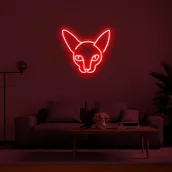 Logótipo de iluminação LED em forma de sinal de néon CAT na parede 50cm