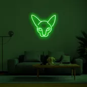 Logótipo de iluminação LED em forma de sinal de néon CAT na parede 50cm