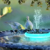 Pool fountain with lights - Solar floating pond fountain with led lights RGB colored + 6 nozzles