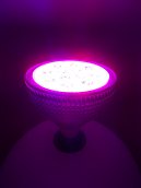 LED growing light 36W (12x3W)