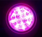 LED growing light 36W (12x3W)