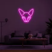 Logótipo de iluminação LED em forma de sinal de néon CAT na parede 50cm
