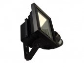 PIR bezprzewodowy aparat z HD + Outdoor reflektora LED + detekcja ruchu