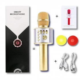 Micro et haut-parleur Bluetooth 5W - microphone sans fil pour la fête