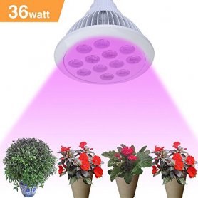 Fluorescent wachsen Lichter 36W (12x3W)