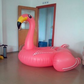 Flamingo medence úszó - a nyár nyüzsgése!