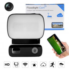 Motion detector camera BUONG HD + WiFi + LED reflector 10W + IR night vision + Siren