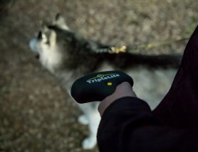 Senter yang kuat untuk penerangan LED - lebar 180 ° - TripleLite hingga 600 lumens