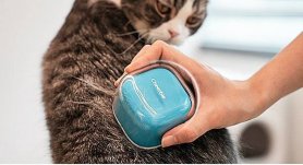 Sikat kucing - sikat kucing silikon Cheerble