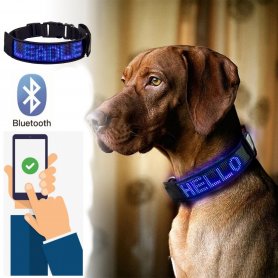 Collar para perros iluminado programable a través de un teléfono inteligente con pantalla de un solo color