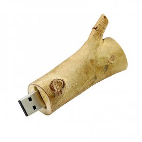 Chave USB natural - galho de árvore de madeira 16 GB