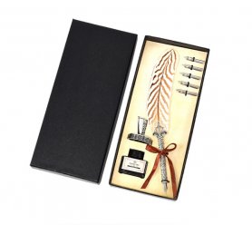 Penna a inchiostro piuma - Penna d'oca per calligrafia antica di lusso con pennino a immersione + supporto + 5 pennini