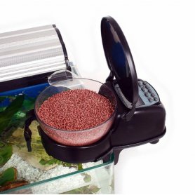 Automatic fish feeder