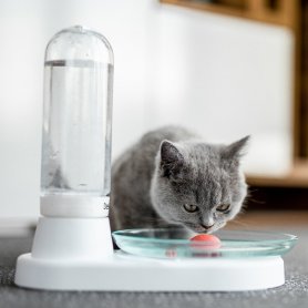 Фонтан за котки - автоматичен резервоар за питейна вода (дозатор) с подложка против хлъзгане