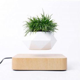 Floating plant pot - levitating 360° flowerpot on a magnetic wooden base