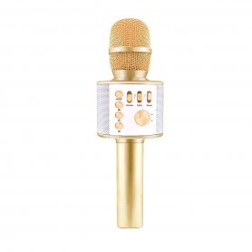 Mikrofon dan speaker Bluetooth 5W - mikrofon nirkabel untuk pesta