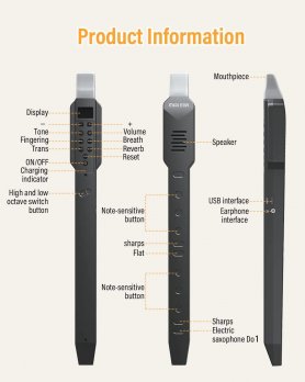 Elektronisches Blasinstrument Flöte + Saxophon mit Lautsprecher (10 Töne) + BT + MIDI