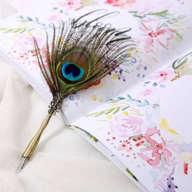 Peacock feather pen quill - luxe historische pen in geschenkverpakking + 5 penpunten
