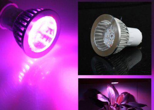 LED žiarovka - osvetlenie pre rastliny 7W