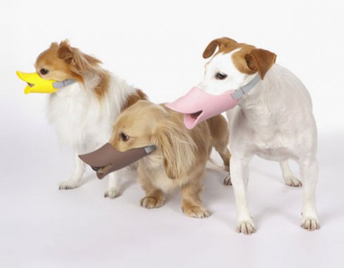 Quack - Muncung pelindung itik untuk anjing