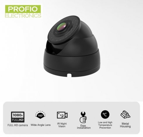 DOME camera FULL HD + 160° fisheye angle + 16 IR LED night vision + WDR + Audio