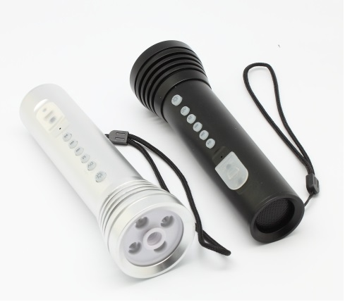 Kamera i lommelygte med 4 lysdioder + mp3-afspiller