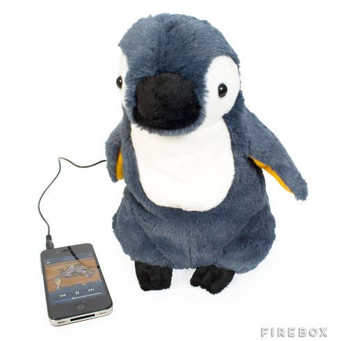 Kuchi - Paki MP3 Vorbitor - Pingui