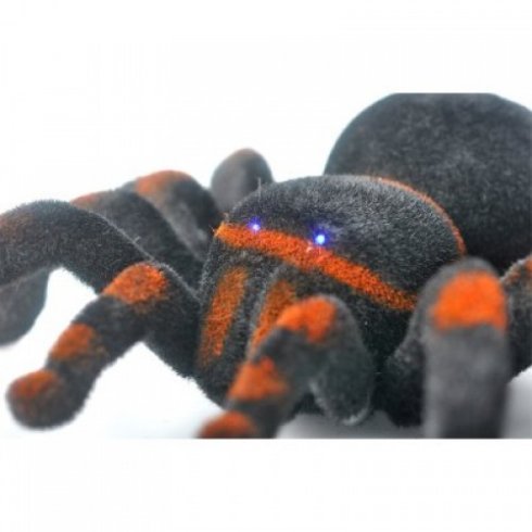 Spider tarantula with the remote control