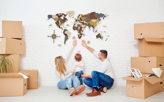 3D wooden wall maps of the world - 7157a1c04f3c817b3e8f6271981fba