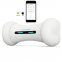 Wicked bone - smart dog toy with bluetooth control via the app