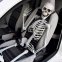 Skeleton model - Human anatomical 3D Full Malaking life-sized na skeleton 1,70 m