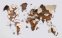 Mappa del mondo 3D sul muro - mappa di legno 100 cm x 60 cm