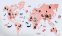 Mapa ng mundo ng mga bata sa dingding 2D - PINK 200x120cm