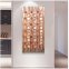 Tường nghệ thuật bằng thép - Kim loại (nhôm) - Đèn LED phát sáng 20 màu RGB - Lá 50x100cm