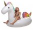 Inflatable pool toys for kids & adults