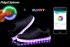 Pantofi negri strălucitori LED - o aplicație mobilă pentru a schimba culorile
