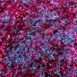 Pink glitter - biodegradable glitter for body, face or hair - Glitter dust 10g (Blue pink violet)