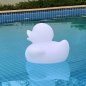 Duck light led - night decoration 23x29cm - RGB colors + IP65 + remote control