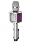 Microphone karaoké 5W avec haut-parleur Bluetooth et support pour smartphone